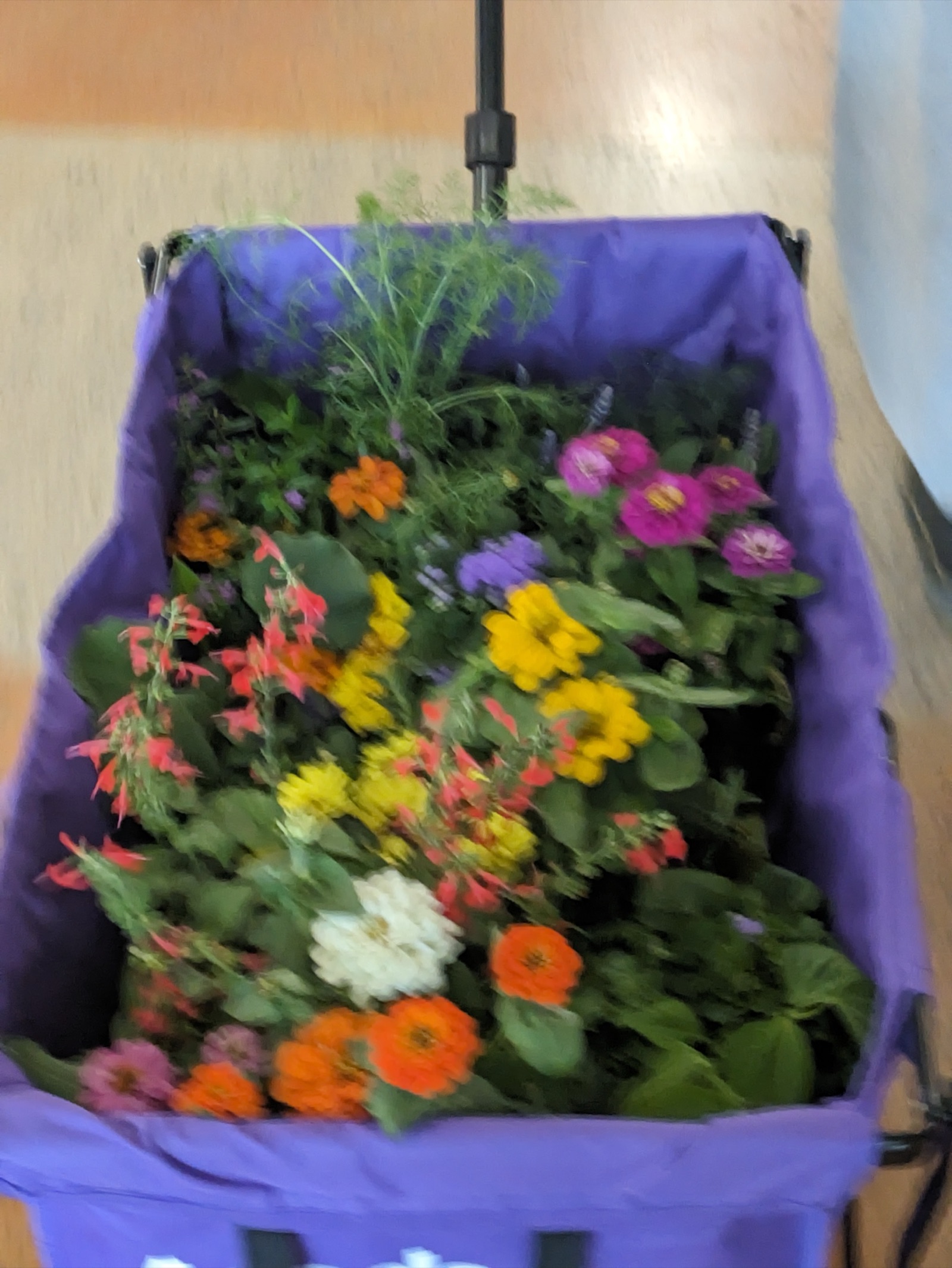 A wagon overflowing with native Texas wildflowers from the community garden